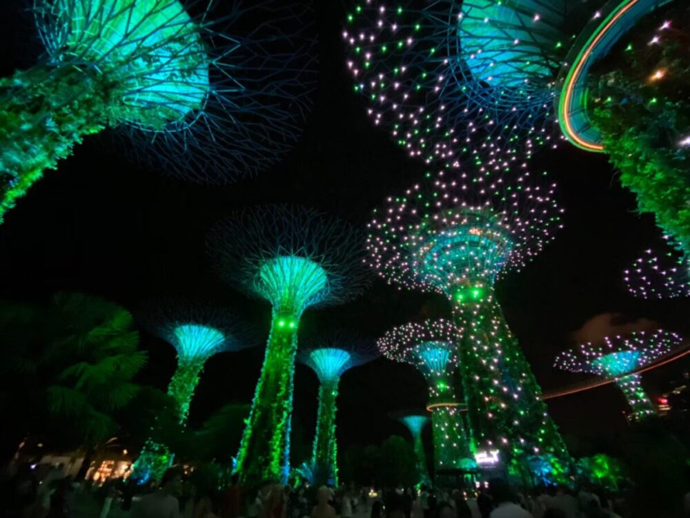 シンガポールのおすすめ観光スポット③：ガーデンズ・バイ・ザ・ベイ