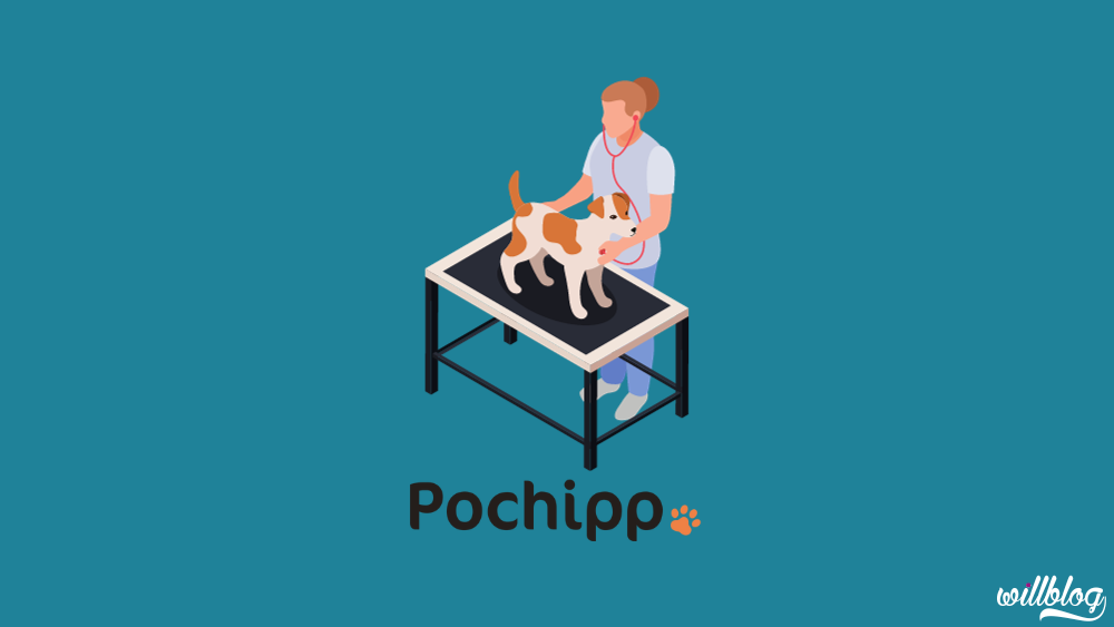 Pochipp(ポチップ)に切り替えないと損する理由